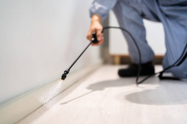 Bed Bug Pre-Treatment Preparation Assessment in Lake Jackson