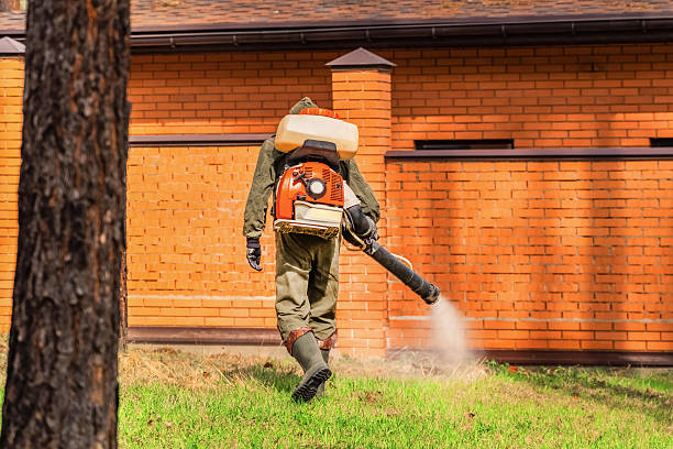 Bed Bug Clearance Verification and Documentation in Lake Jackson